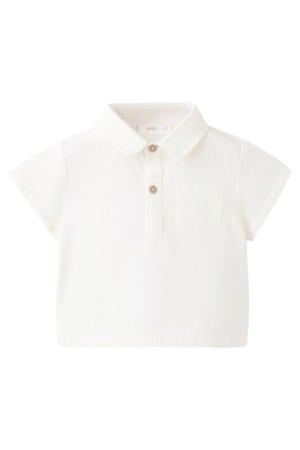 polo wit
