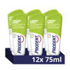 Prodent Fresh Mint tandpasta - 12 x 75 ml