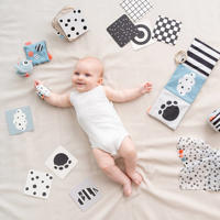 thumbnail: Done by Deer Baby contrastkaarten 10-pack Deer friends