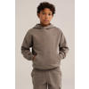 WE Fashion sweat hoodie - taupe