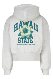 thumbnail: America Today gemêleerde hoodie met backprint - grijs