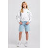 America Today gemêleerde hoodie met backprint - grijs