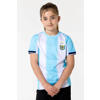 Official Fanwear Argentinië Thuis Shirt Blauw/Wit