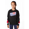 Official Fanwear PSG Sweater Zwart