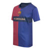 Official Fanwear FC Barcelona Thuis Shirt Rood/Blauw
