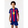 Official Fanwear Frenkie de Jong FC Barcelona Thuis Tenue 25/26  Blauw/Rood