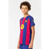 Official Fanwear FC Barcelona Thuis Shirt 25/26 Blauw/Rood