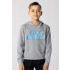 Official Fanwear Club Brugge Hoodie Grijs
