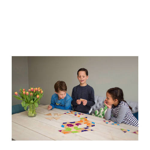 BS Toys Triangle dominoes Denkspel | Denkspel van
