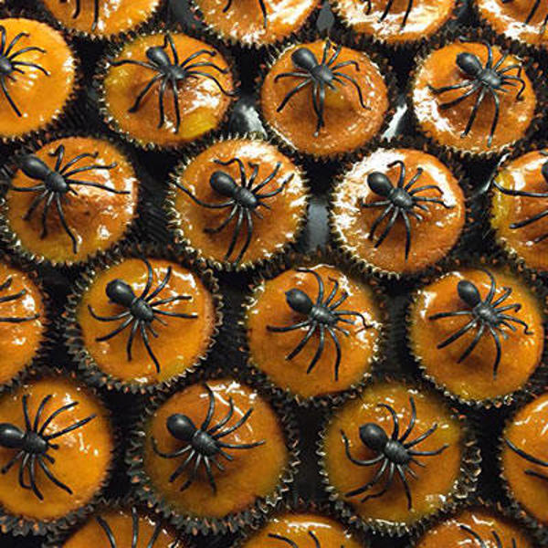 5. Spooky spider cupcakes