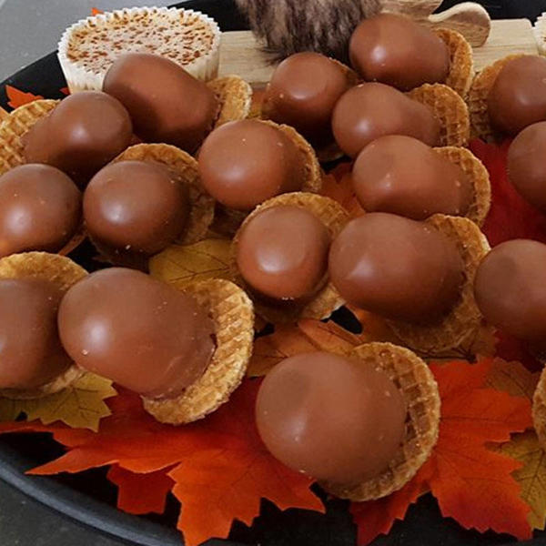 voor alle kleine eekhoorntjes